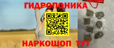 стаф Новозыбков