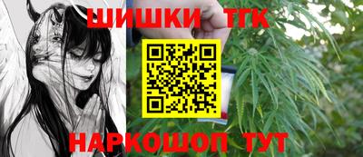 гашик Новокубанск