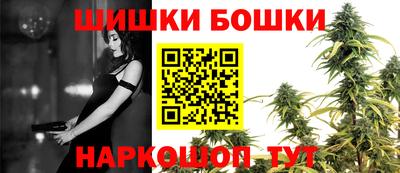 стаф Новозыбков