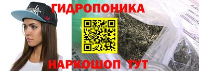 гашик Новокубанск