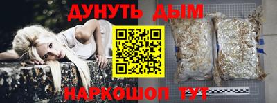 гашик Новокубанск